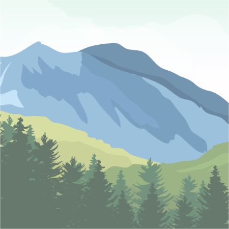 Picture for category New